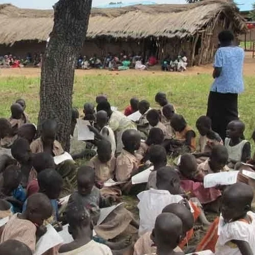 a group of happy children having class under a tree